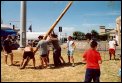 Preparativi dell'albero della cuccagna